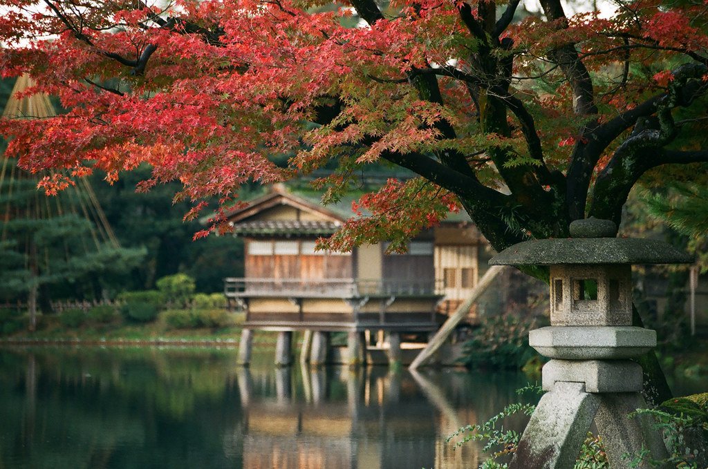 Steinlaterne am Teich im Kenroku-en mit rotem Herbstlaub